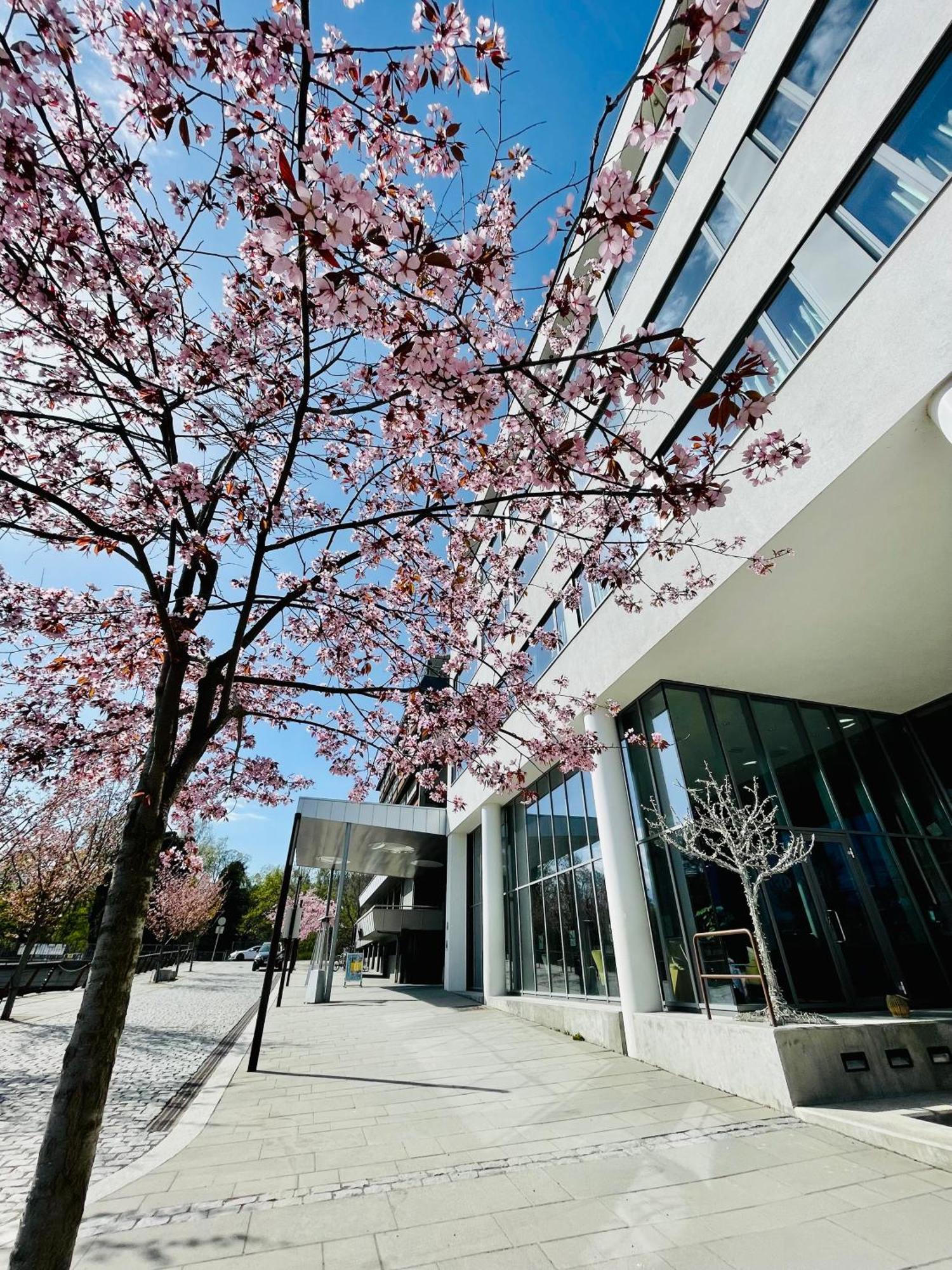 Quality Hotel Strand Gjøvik Zewnętrze zdjęcie